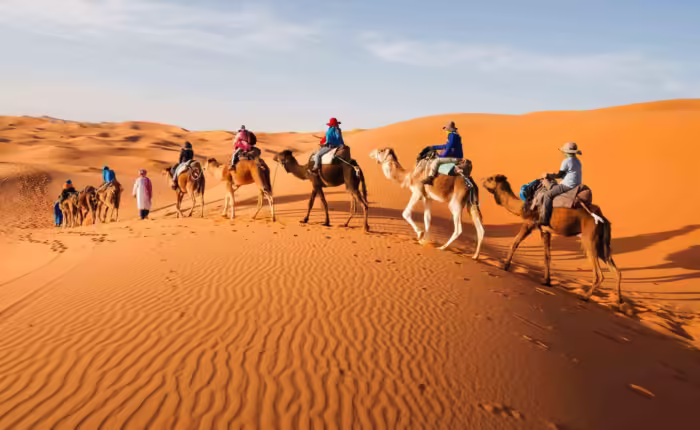 Excursión de 3 días por el desierto de Marrakech a Fez - Moroccan Travel