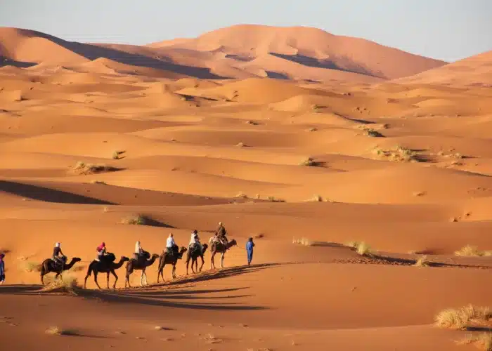 Excursión De 4 Días Por El Desierto De Fez A Marrakech- Moroccan Travel