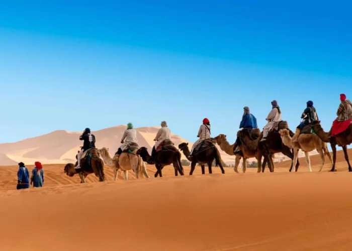 3 day Desert Tour from Fes to Marrakech - Moroccan Travel