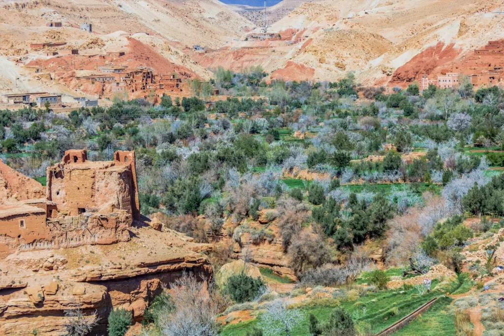 Oasis and kasbahs in the Dades Valley