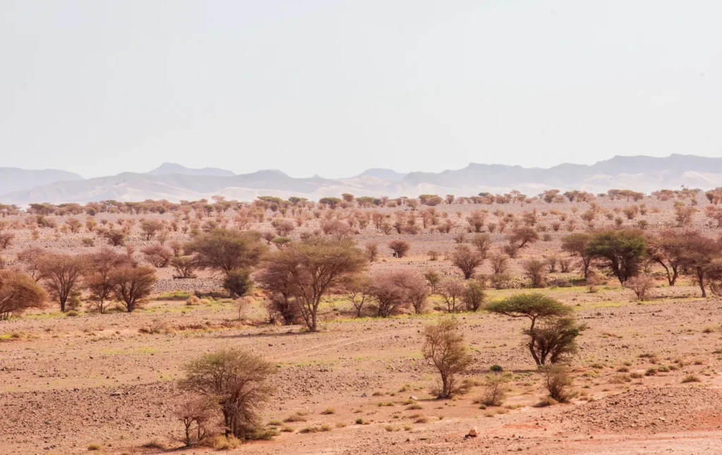 Desert plain on the way to Merzouga