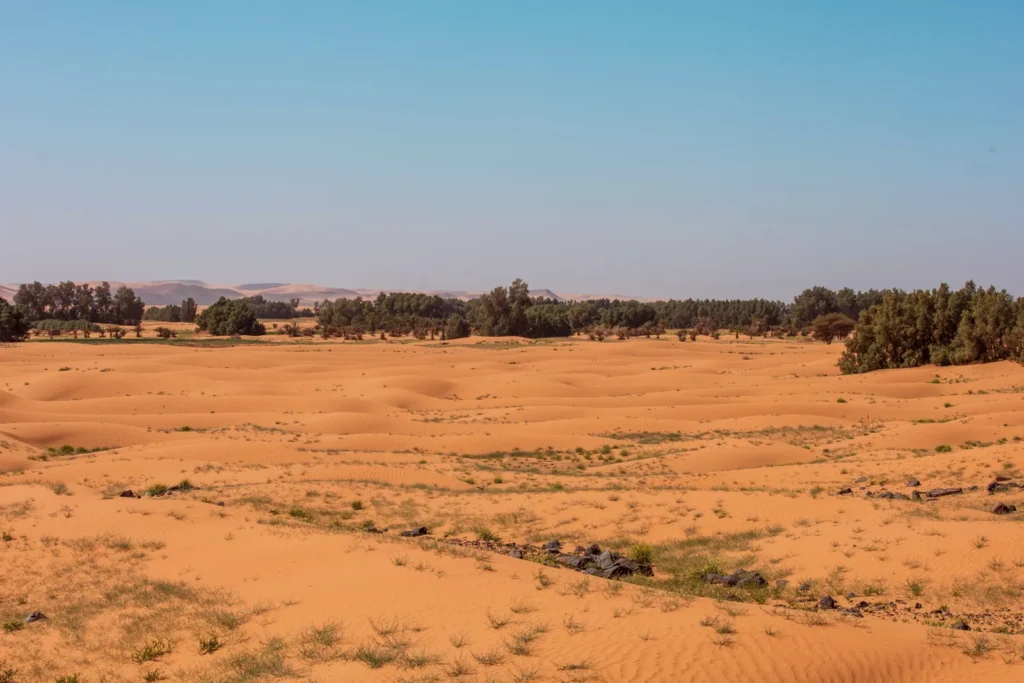 Sand plain on the way through the Draa Valley to Merzouga