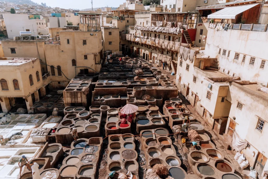 Dye pits of a Fes tannery on the guided day in Fes