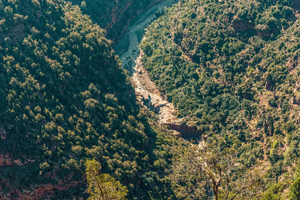 Forested valley in the Atlas Mountains on the drive south