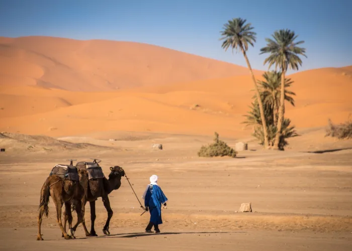 5 Day Morocco Desert Tour from Tangier - Moroccan Travel