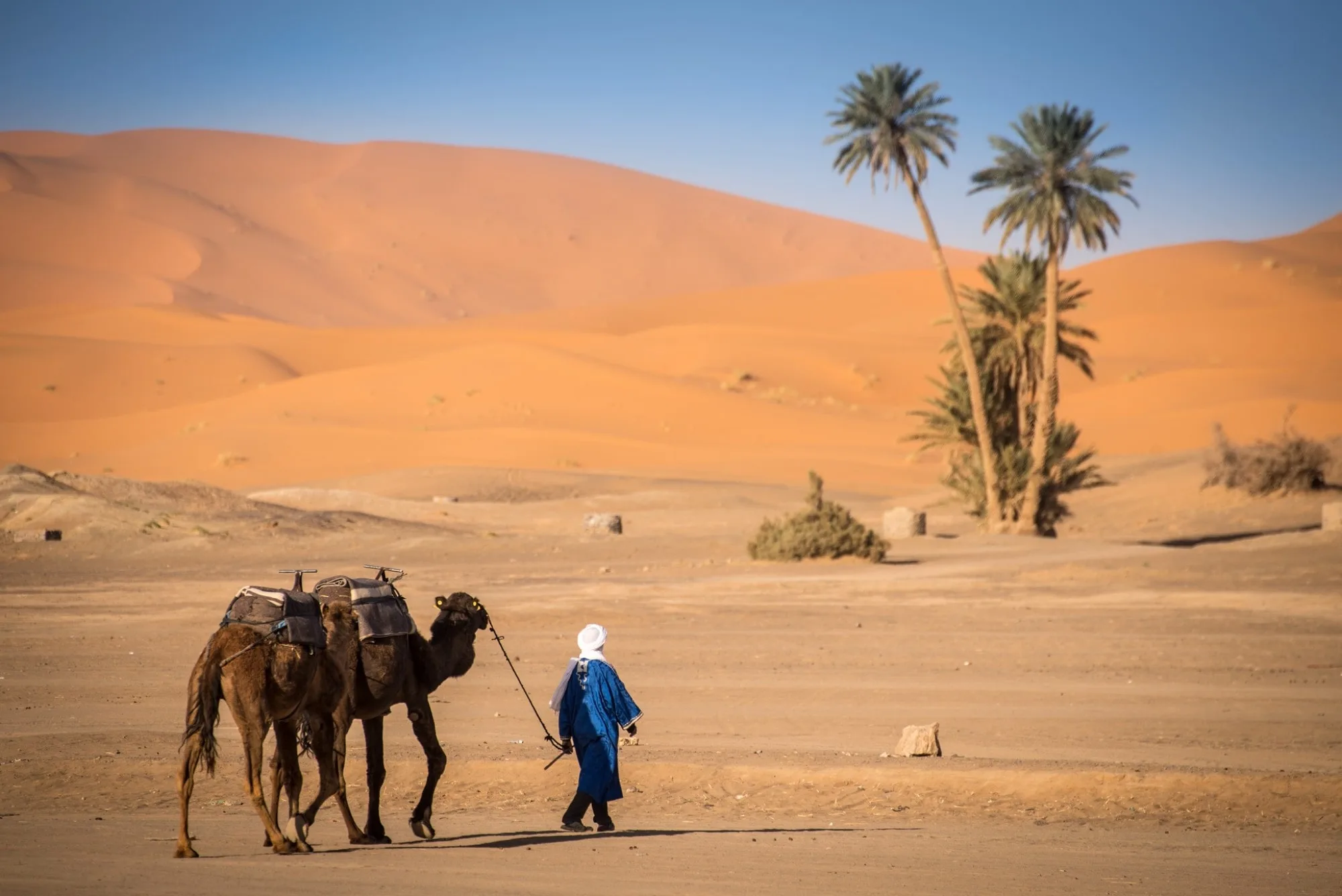 5 Day Morocco Desert Tour from Tangier - Moroccan Travel