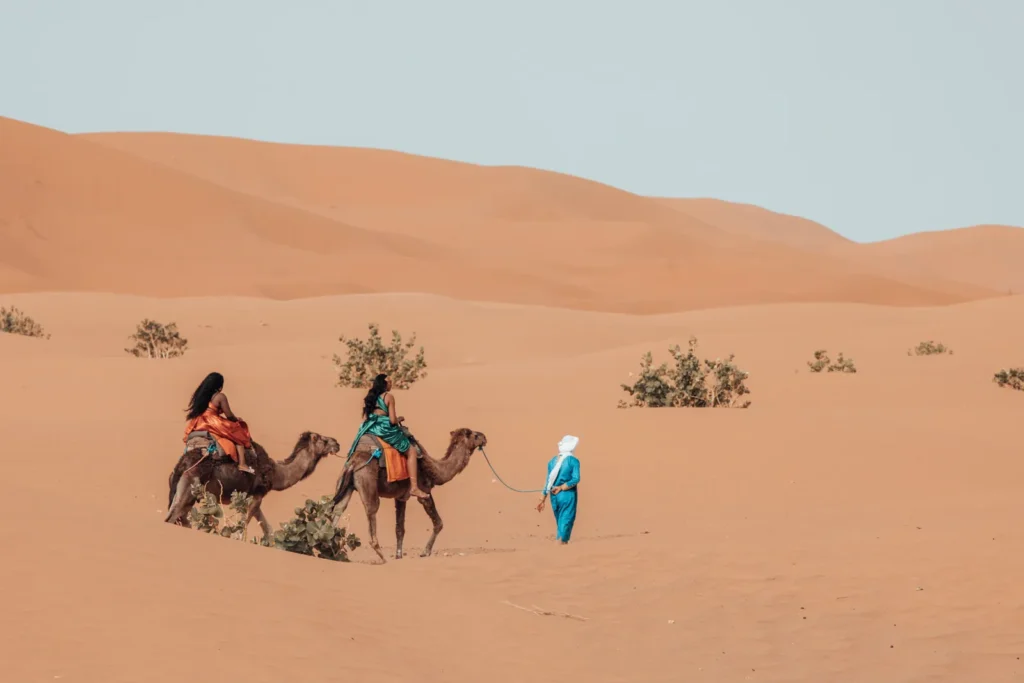 Cammelli a riposo tra le dune di Merzouga
