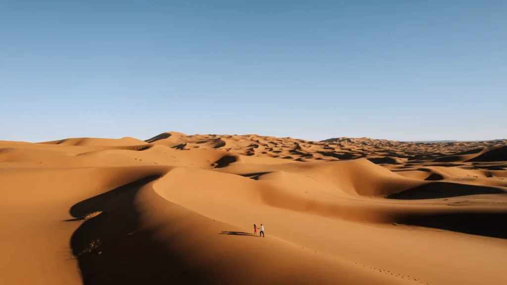 Crestas curvas de dunas en el Erg Chebbi