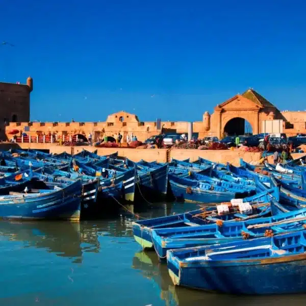 Explore Essaouira - Destination