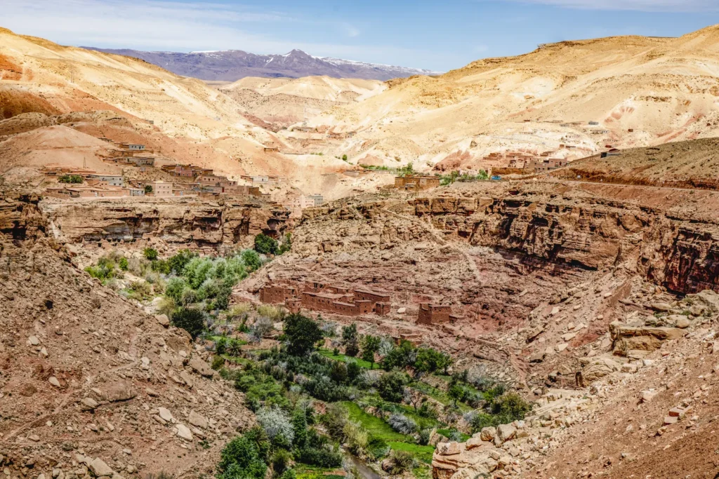 Green oasis at the bottom of a gorge on the way to the Dades Valley
