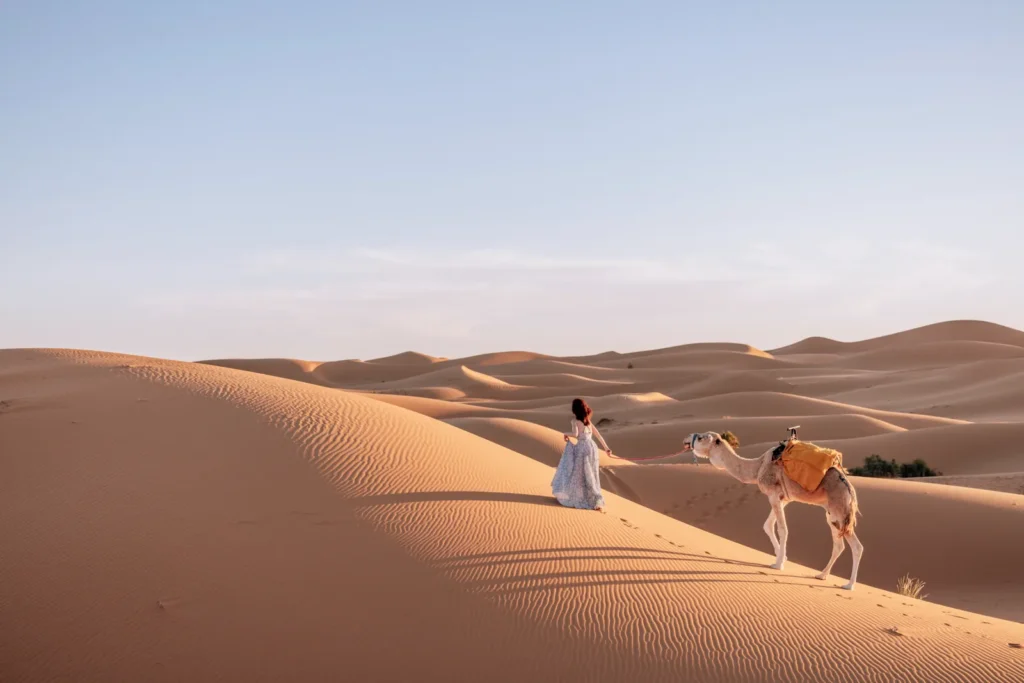 A camel and its guide crossing the Merzouga dunes