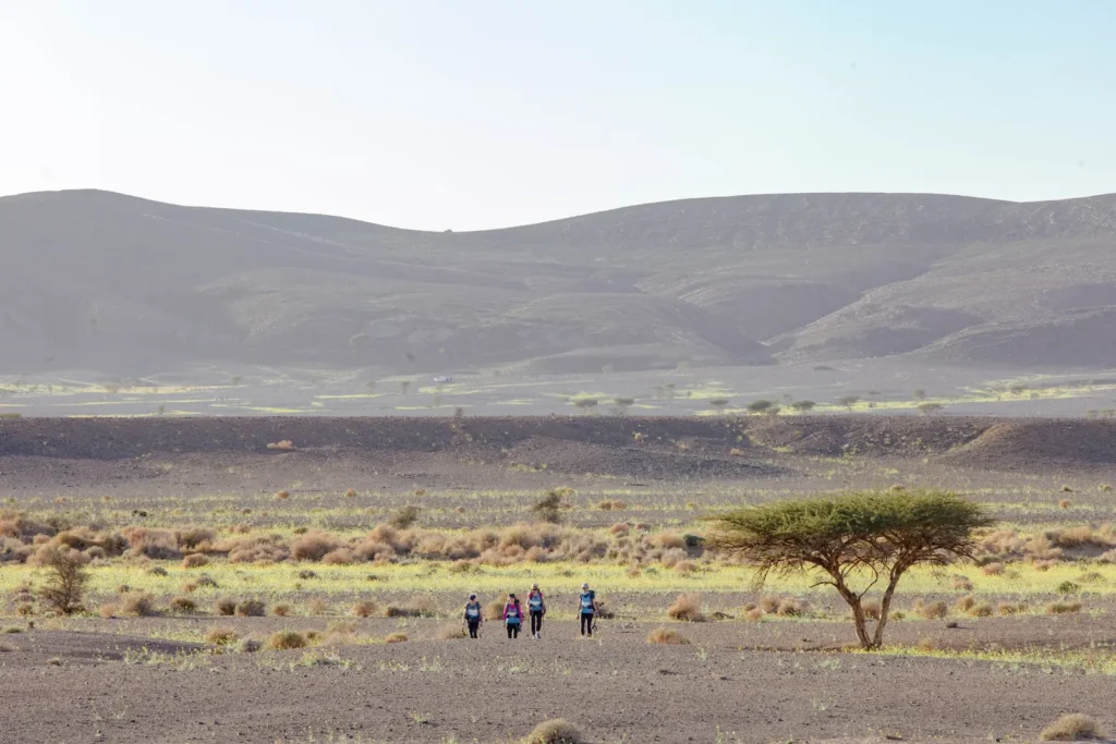 Open desert plain on the way through the Draa Valley