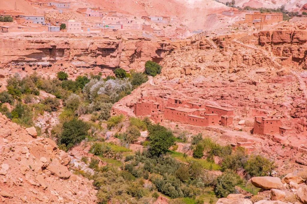 Cañón rojo y oasis verde camino del valle del Dades