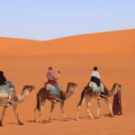 3 clients on a camel ride with guide in the middle of the golden dunes of Sahara Desert (Erg chebbi) during our 5 day Morocco tour from Casablanca to Marrakech - Morocco tour package - Morocco holiday - Morocco travel package - Morocco vacation package - Viaggio in Marocco - 5 giorni da Casablanca - Moroccan Travel packages