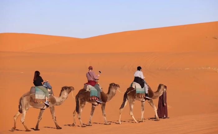 3 clients on a camel ride with guide in the middle of the golden dunes of Sahara Desert (Erg chebbi) during our 5 day Morocco tour from Casablanca to Marrakech - Morocco tour package - Morocco holiday - Morocco travel package - Morocco vacation package - Viaggio in Marocco - 5 giorni da Casablanca - Moroccan Travel packages
