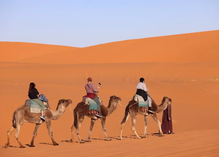 3 clients on a camel ride with guide in the middle of the golden dunes of Sahara Desert (Erg chebbi) during our 5 day Morocco tour from Casablanca to Marrakech - Morocco tour package - Morocco holiday - Morocco travel package - Morocco vacation package - Viaggio in Marocco - 5 giorni da Casablanca - Moroccan Travel packages
