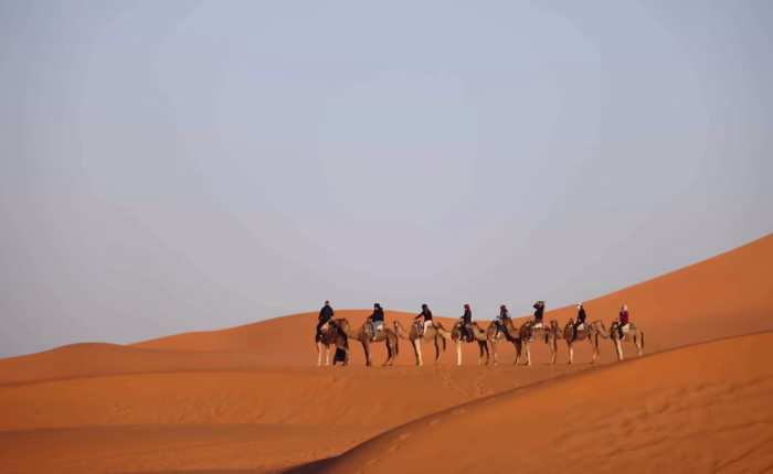 Group of Desert on camel ride in the middle of Morocco Sahara Desert during our 2 days roudtrip from Fes Morocco - Morocco travel package - Morocco holiday -Morocco tour package - Morocco vacation package
