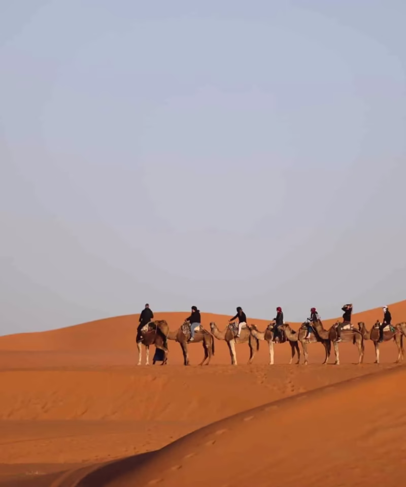 Group of Desert on camel ride in the middle of Morocco Sahara Desert during our 2 days roudtrip from Fes Morocco - Morocco travel package - Morocco holiday -Morocco tour package - Morocco vacation package