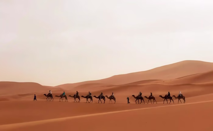 Caravan of camel ride in the middle of the Erg Chabbi sandy dunes with Moroccan Travel - Marrakech to Merzouga Desert Tour 3 days