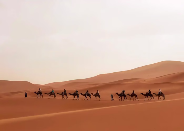 Caravan of camel ride in the middle of the Erg Chabbi sandy dunes with Moroccan Travel - Marrakech to Merzouga Desert Tour 3 days