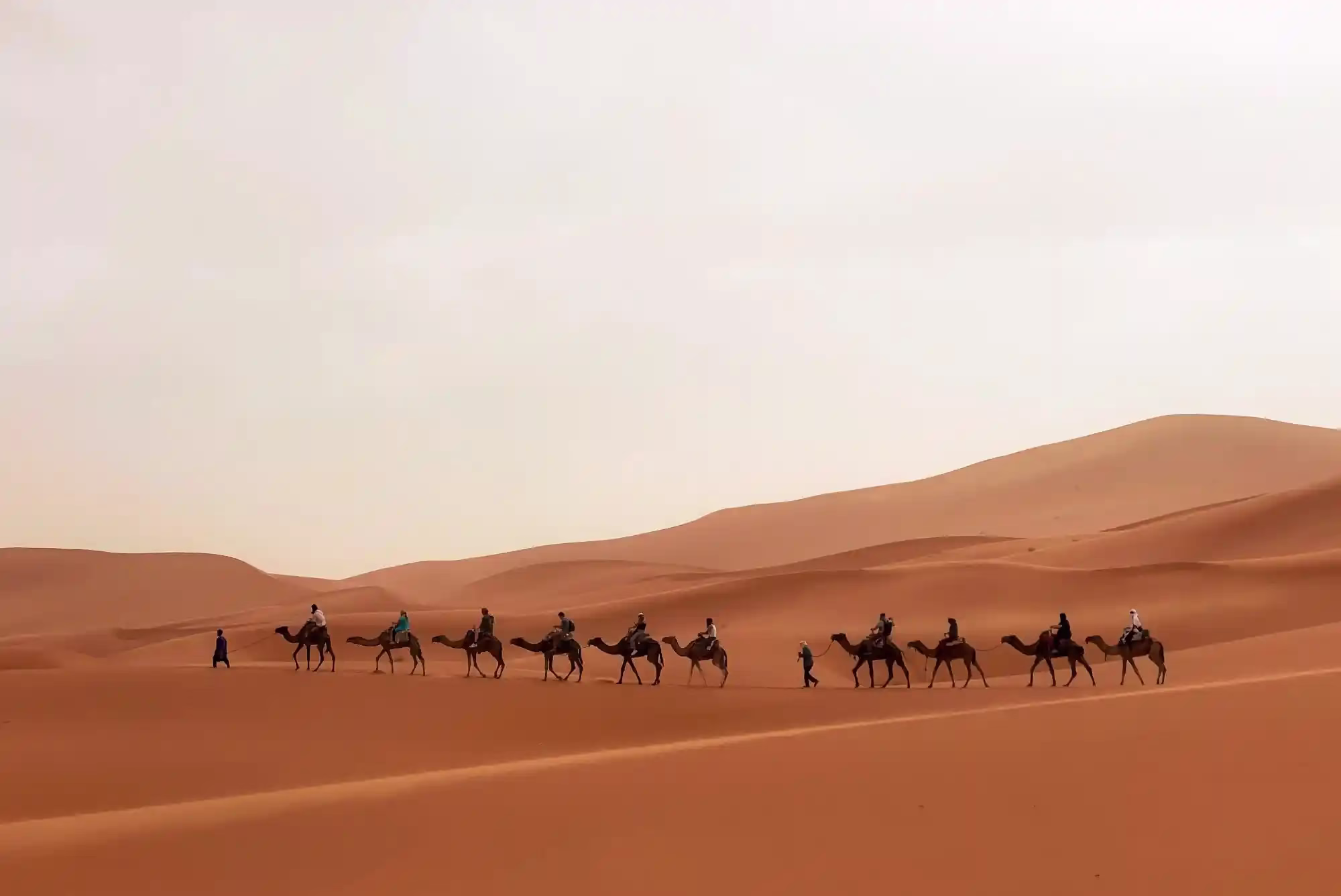 Caravan of camel ride in the middle of the Erg Chabbi sandy dunes with Moroccan Travel - Marrakech to Merzouga Desert Tour 3 days