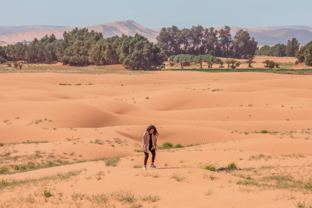 Dunes and palms in Merzouga