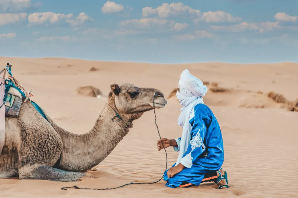 Berber camel guide resting with his camel in the Merzouga dunes